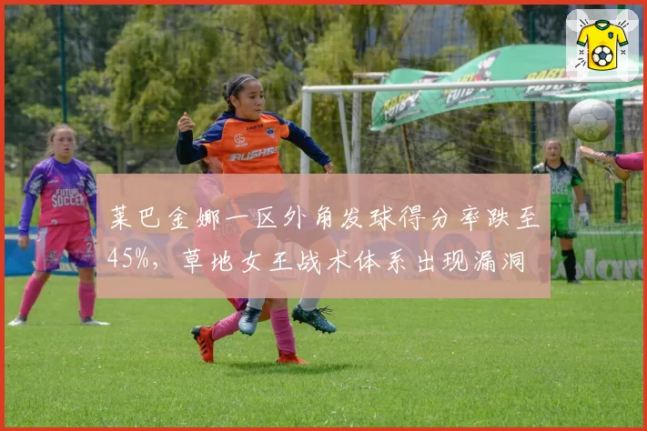 莱巴金娜一区外角发球得分率跌至45%，草地女王战术体系出现漏洞