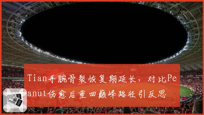 Tian手腕骨裂恢复期延长，对比Peanut伤愈后重回巅峰路径引反思