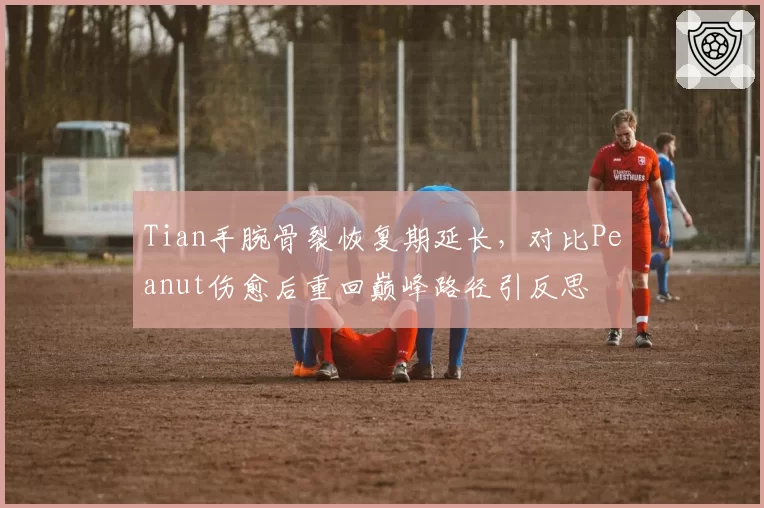 Tian手腕骨裂恢复期延长，对比Peanut伤愈后重回巅峰路径引反思